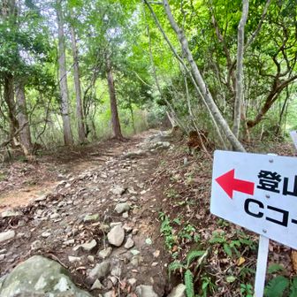 Bコース降りて分岐へ降りて来て1登目終了…
水分はまだ大丈夫🙆‍♂️
両足攣りかけてるのでストレッチちょこちょこしながら2登目へ…
