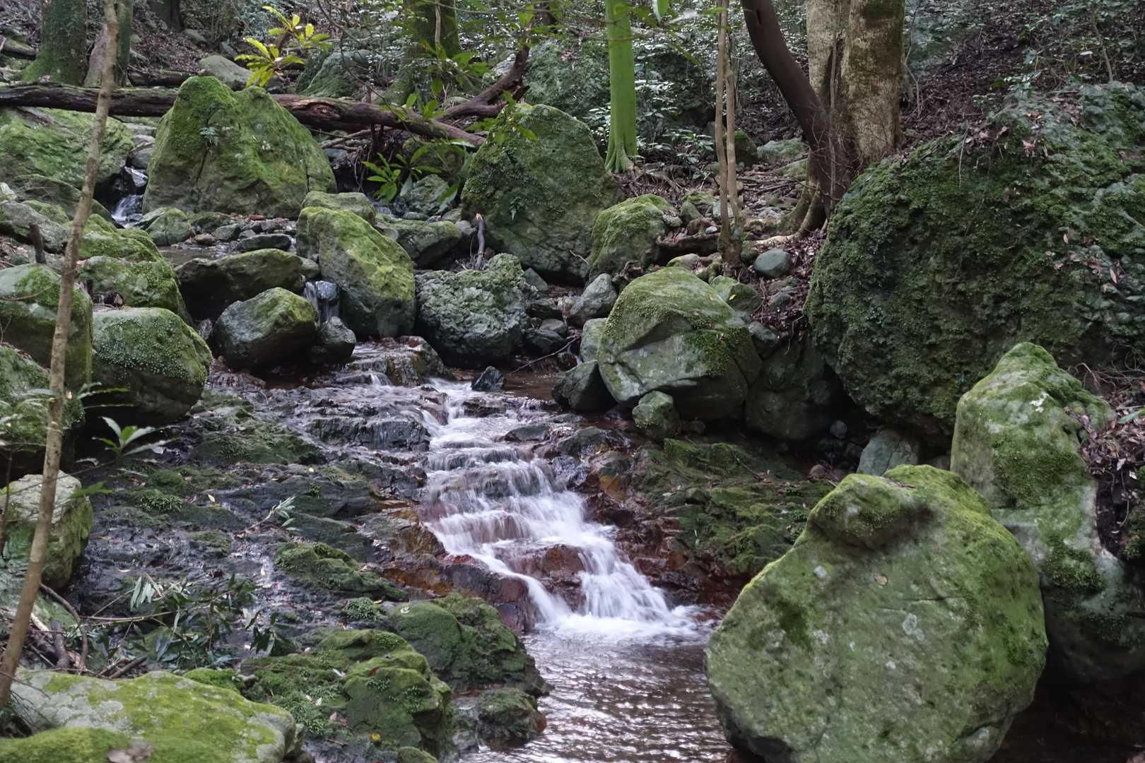 最強低山の呼び声高い、スリル満点の黒髪山定番コースの写真