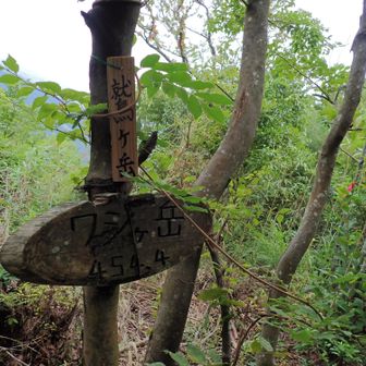 鷲ヶ岳
眺めあり