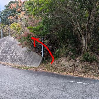 赤矢印に沿って行くと距離は短い（？）ですが、登山道となってます。前半はロープが貼られていたりと分かりやすくなっていました