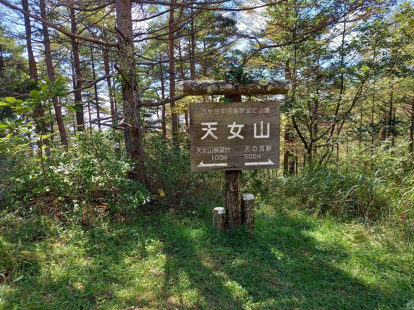 天女山登山口-天女山-天ノ河原 周回コースの写真