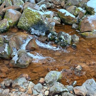 川の色が赤茶色