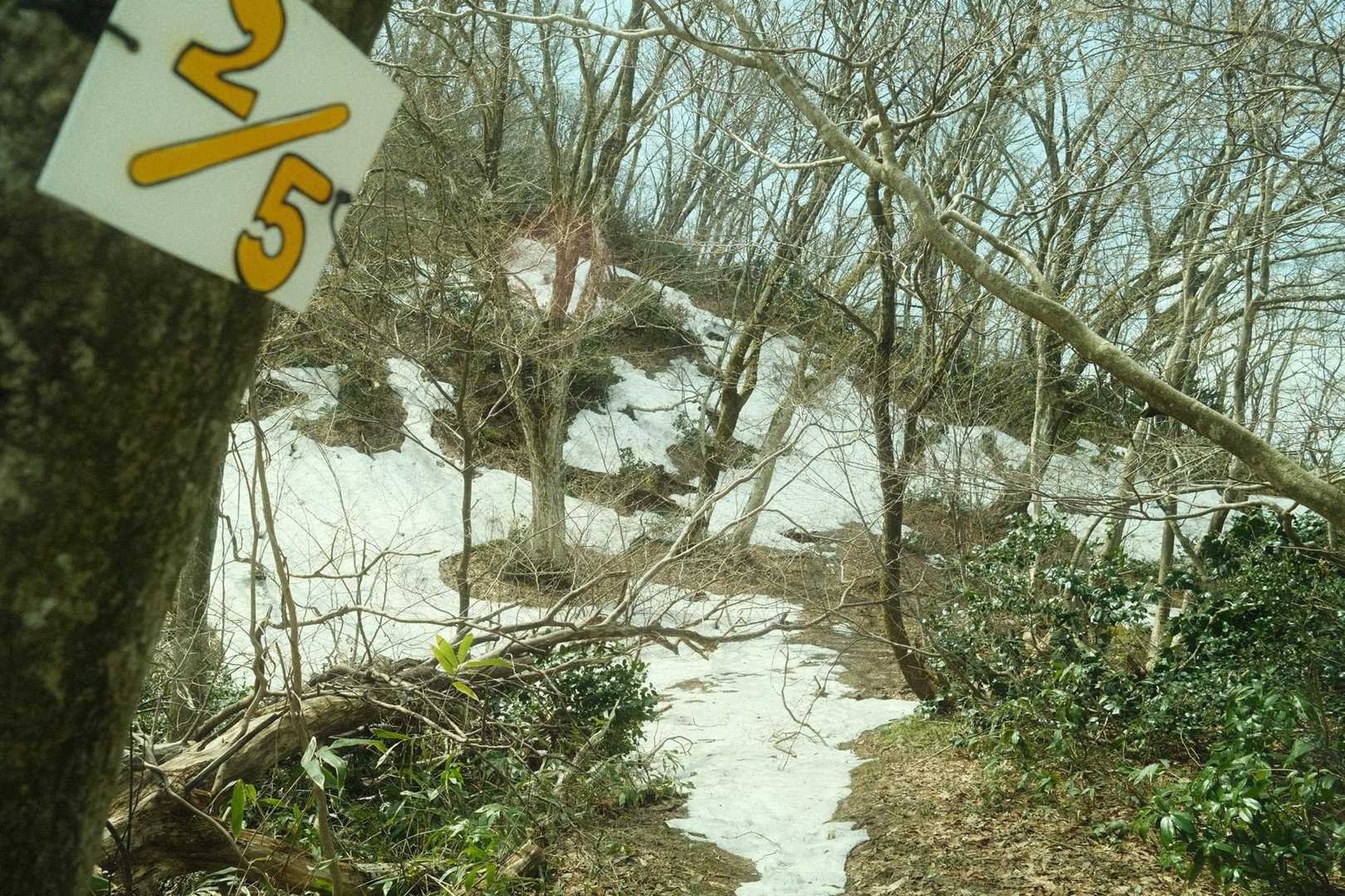 我谷登山口-小リス平-富士写ヶ岳 往復コースの写真