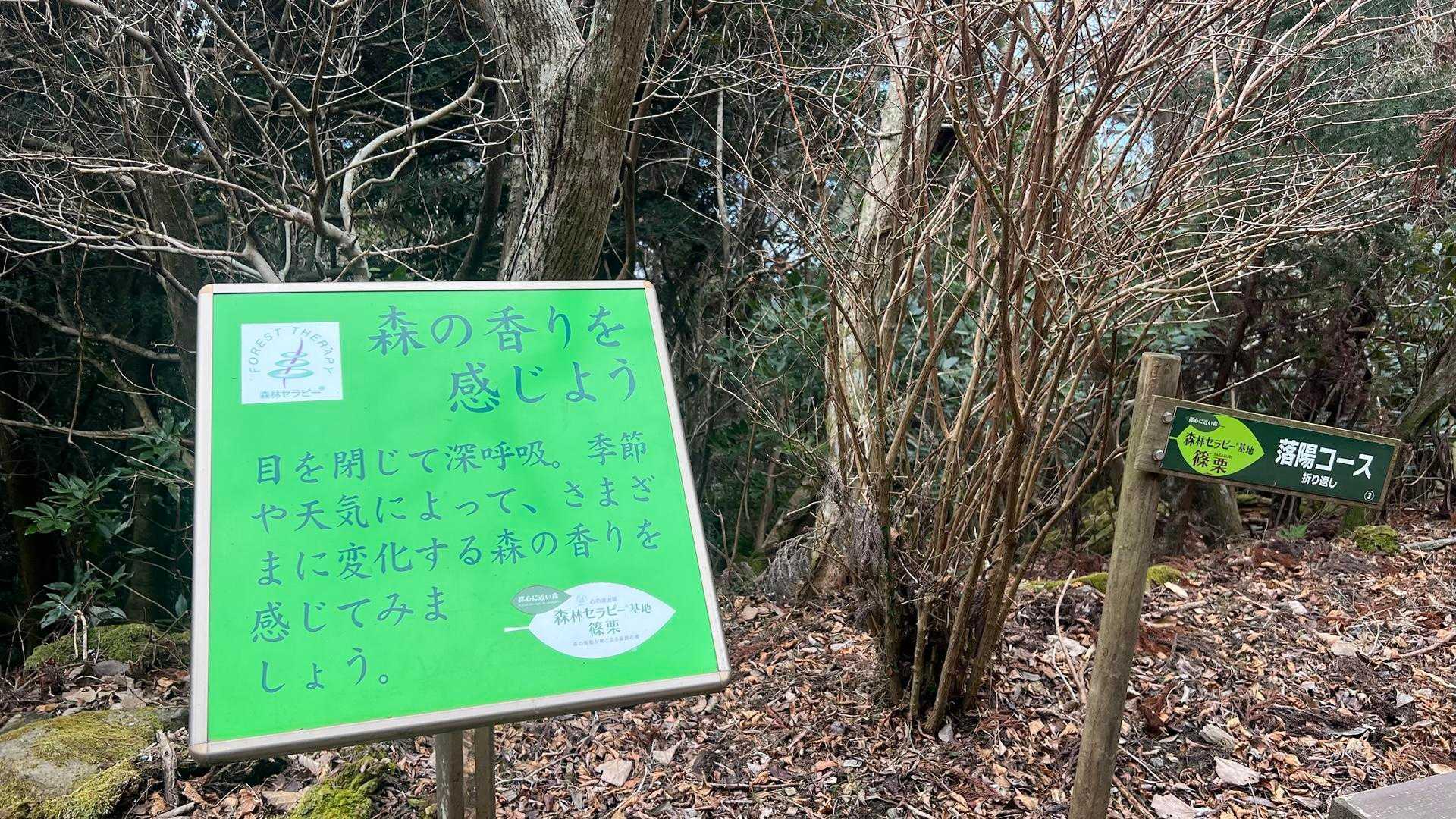 セラピーロード
ウッドチップ終点なのでチップは少量🤭