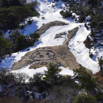 今日は雪で見られないと思ったが迎えてくれました(=^・^=)
尻尾を振って飛び跳ねてるよう🐈