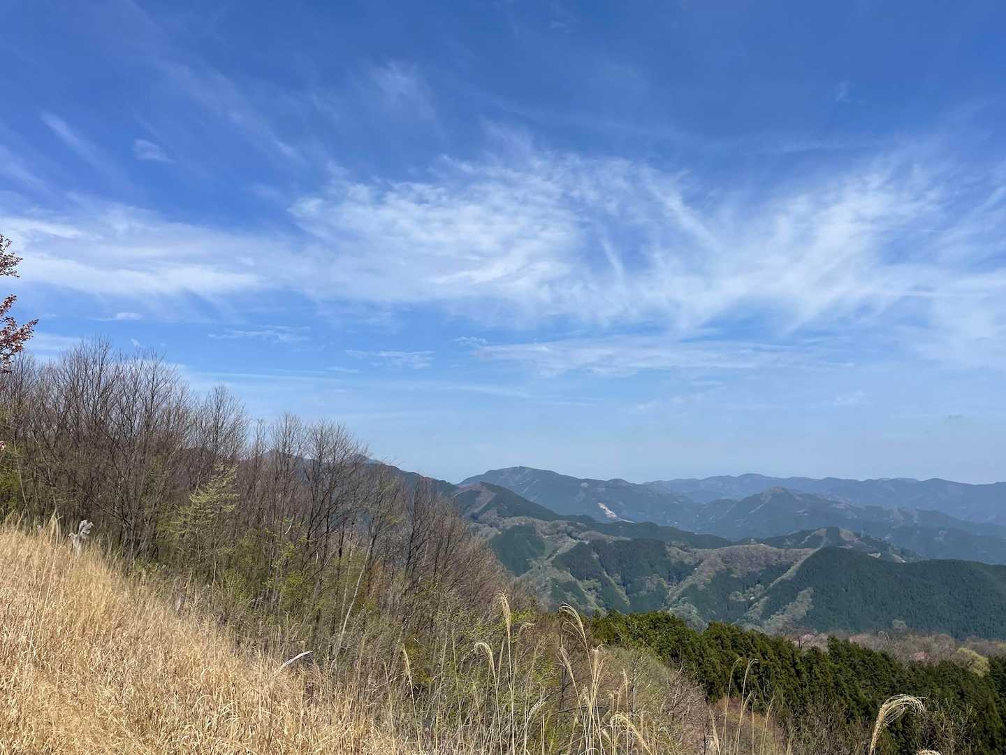 二子山、武川岳、大持山あたりはまだ登ったことないのでぜひ行きたい。
今日乗ったバスを終点の名郷まで乗ってアプローチする山域です。
大持山は武甲山御嶽神社まで車でも行けますね。