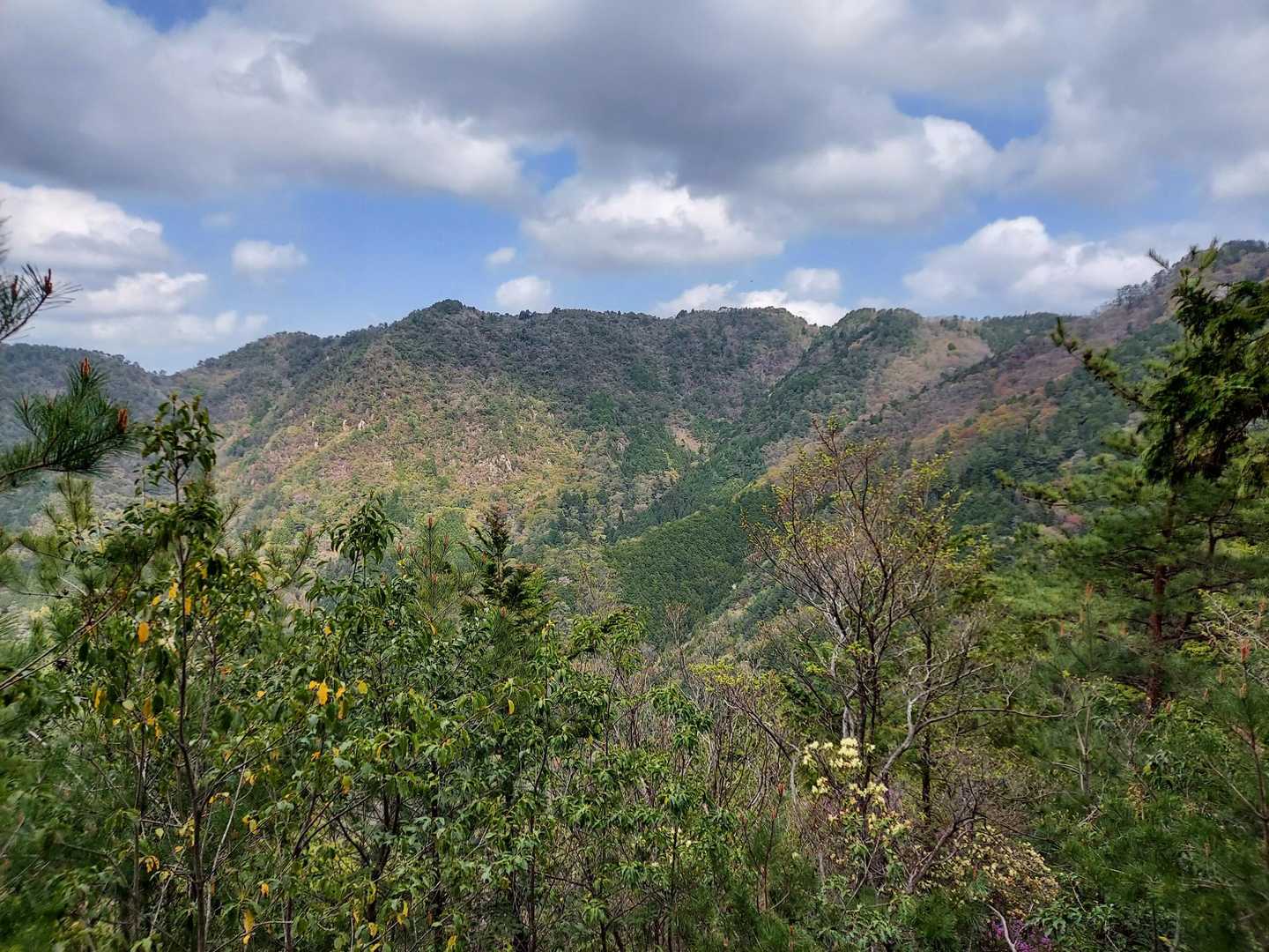 観音堂登山口-五の山-清水山-剣爾山-鳳翔寺登山口 縦走コースの写真