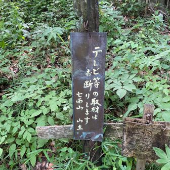 たぶん来ないと思うけど