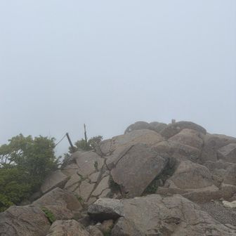 弥山から天狗岳
ガスガス 真っ白け
風も強く昼食もとらず下山