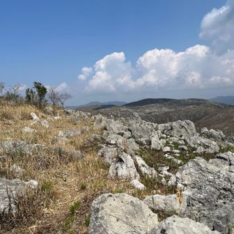 頂上風景です。👍