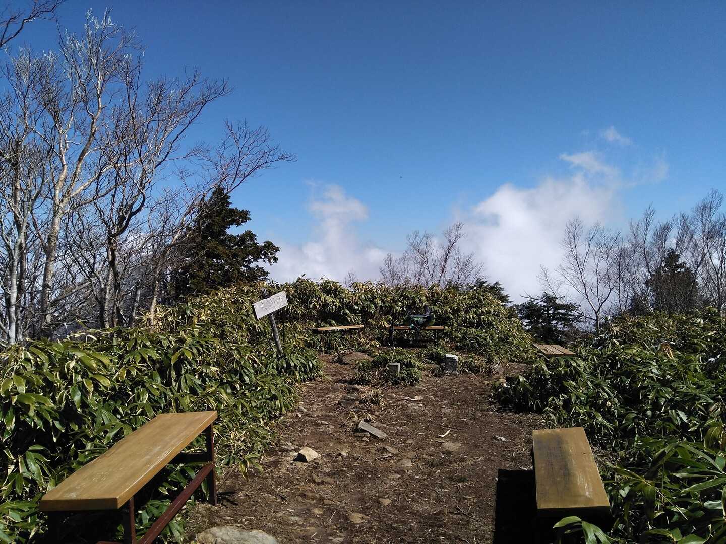 大判山の写真