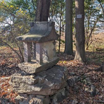 さくっと丸山を往復