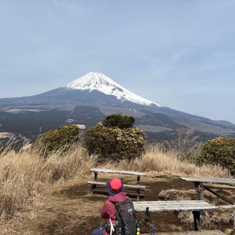 なんて贅沢な時間