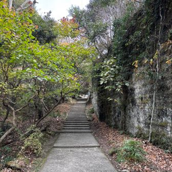 早速異国の世界に来たよう