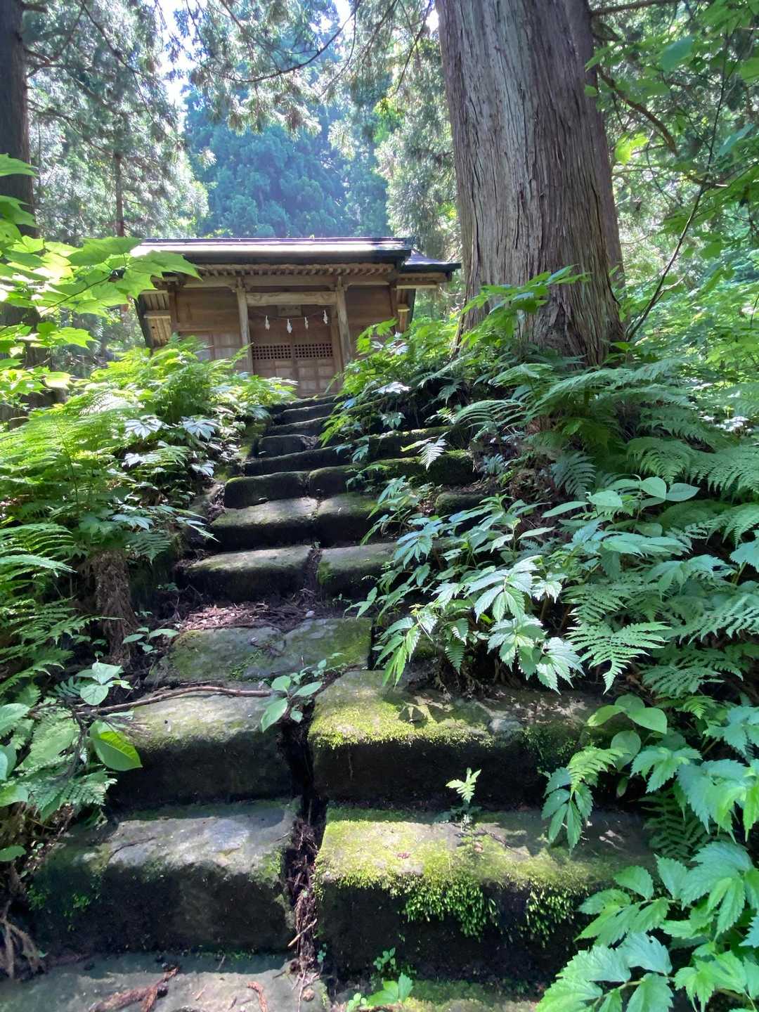 関沢森林公園登山口-要害山-櫛形山-櫛形山登山口 周回コースの写真