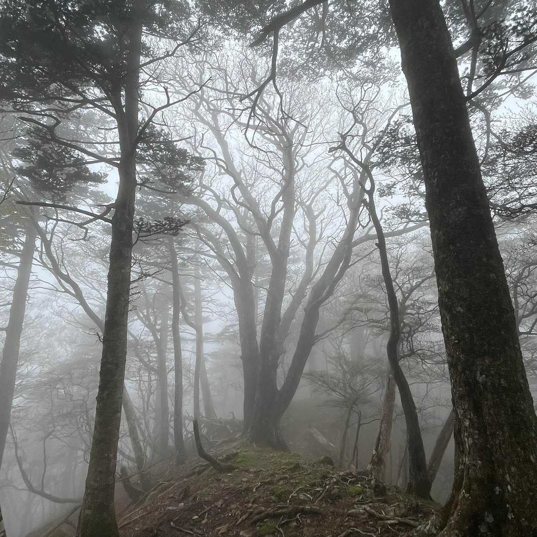 幽玄の世界でした。