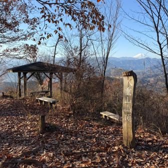 八重山にとうちゃこ