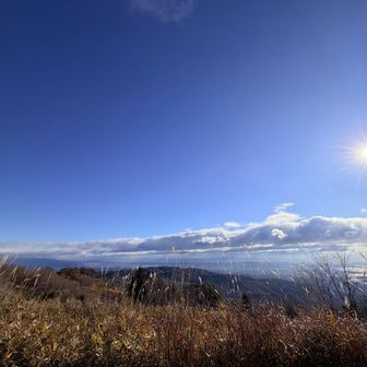 青空が澄んでます。