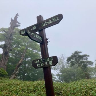 分岐に到着。