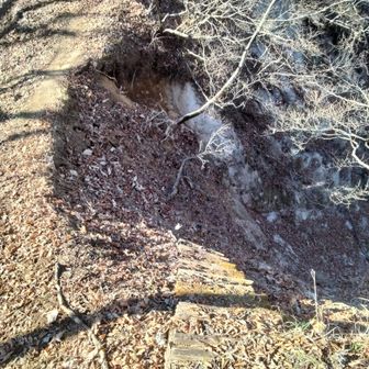 あら痩せている😵‍💫
そして切れ落ちた崖は花崗岩のザレが待ち受けているよ😨