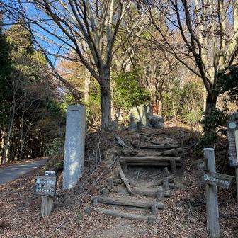 下りて来て振り返って撮った