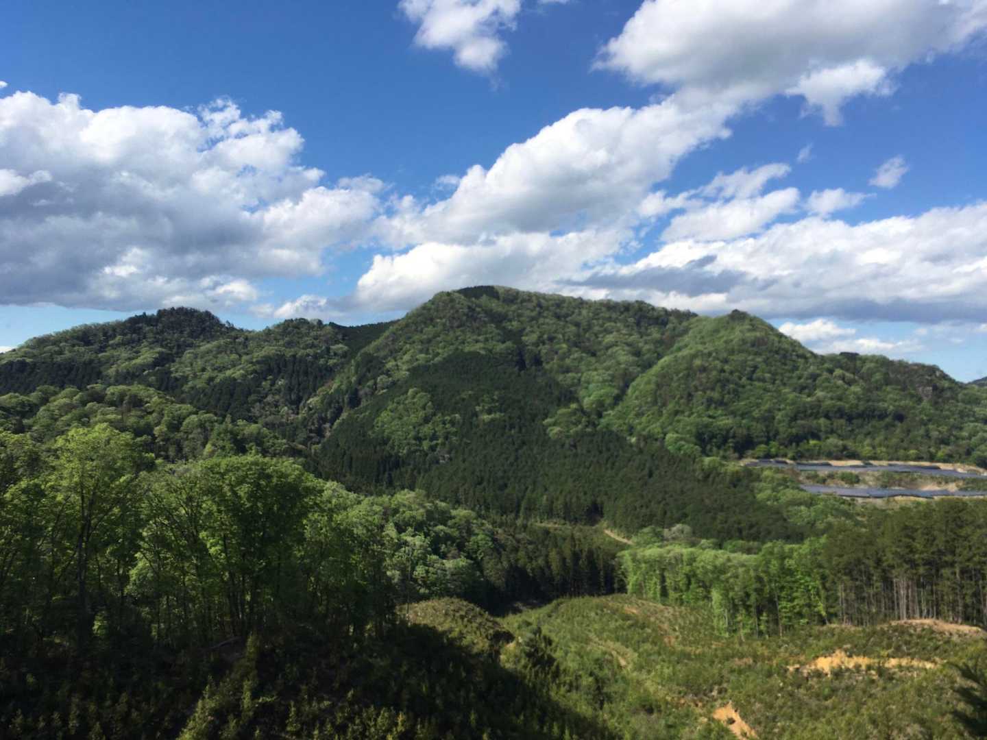 長倉山への道から見えた鞍掛山。
カクっとした形がかっこいい。急登できついけど。