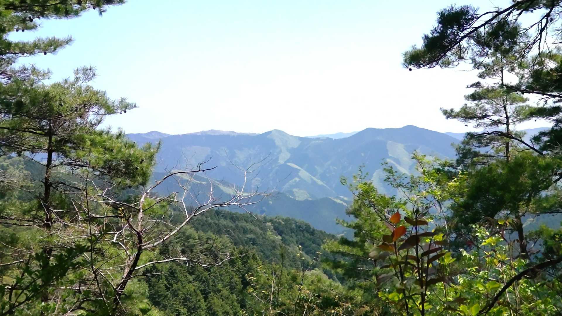 ここからの方が上矢作の風車がよく見えます～☺️