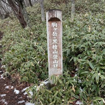 本日の下山口