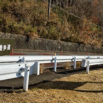 『鳥居原ふれあいの館』に車を停めて、駐車場のすみっコから、あ、レッツらゴー！