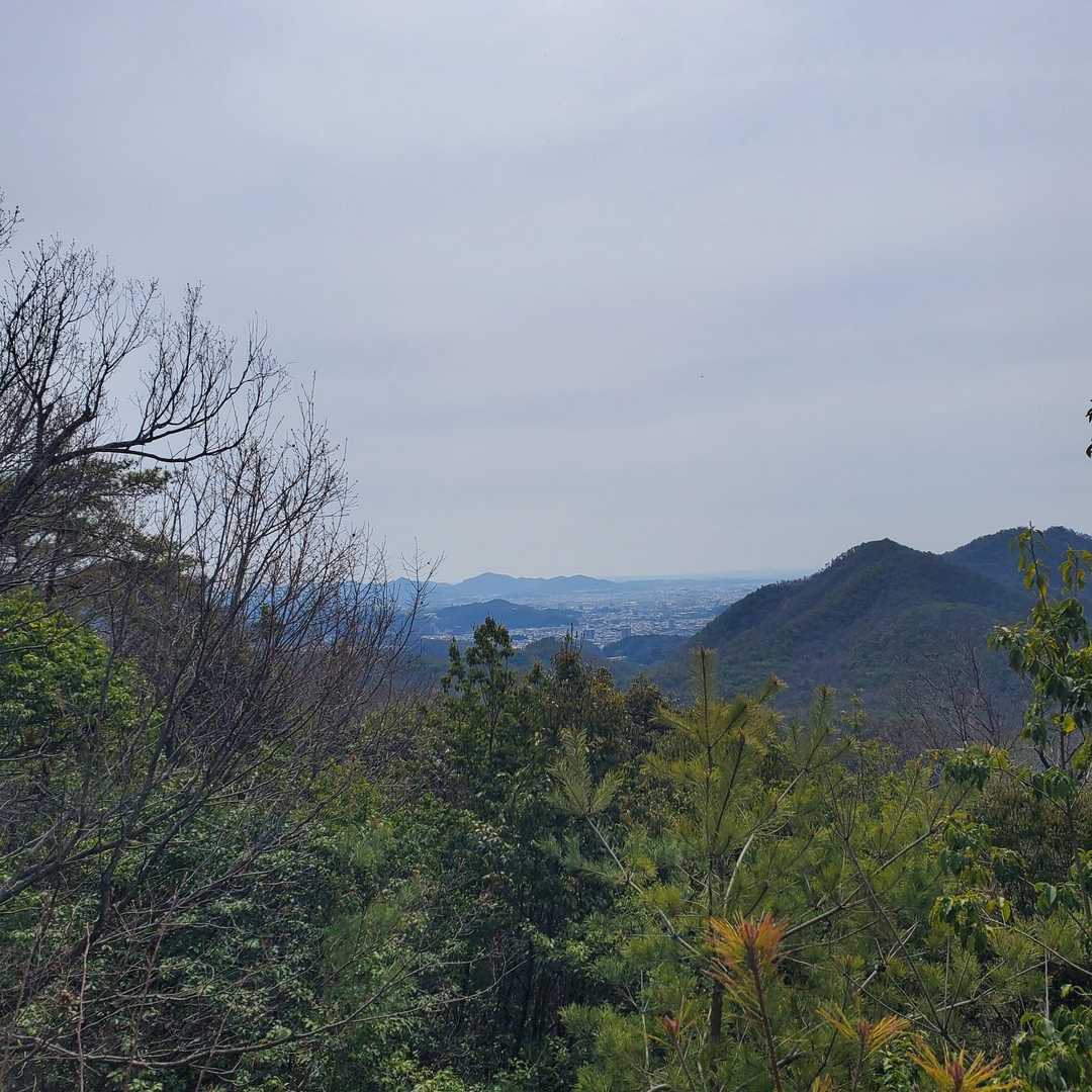 大岩山 往復コースの写真