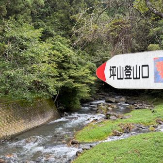 左に橋渡る