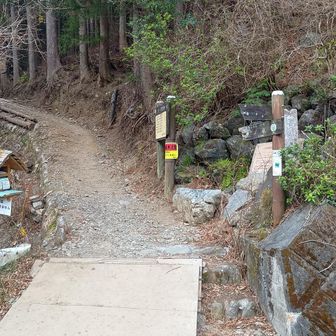 登山口。バス停から少し歩きます。