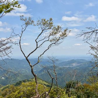 眺望はまあまあ