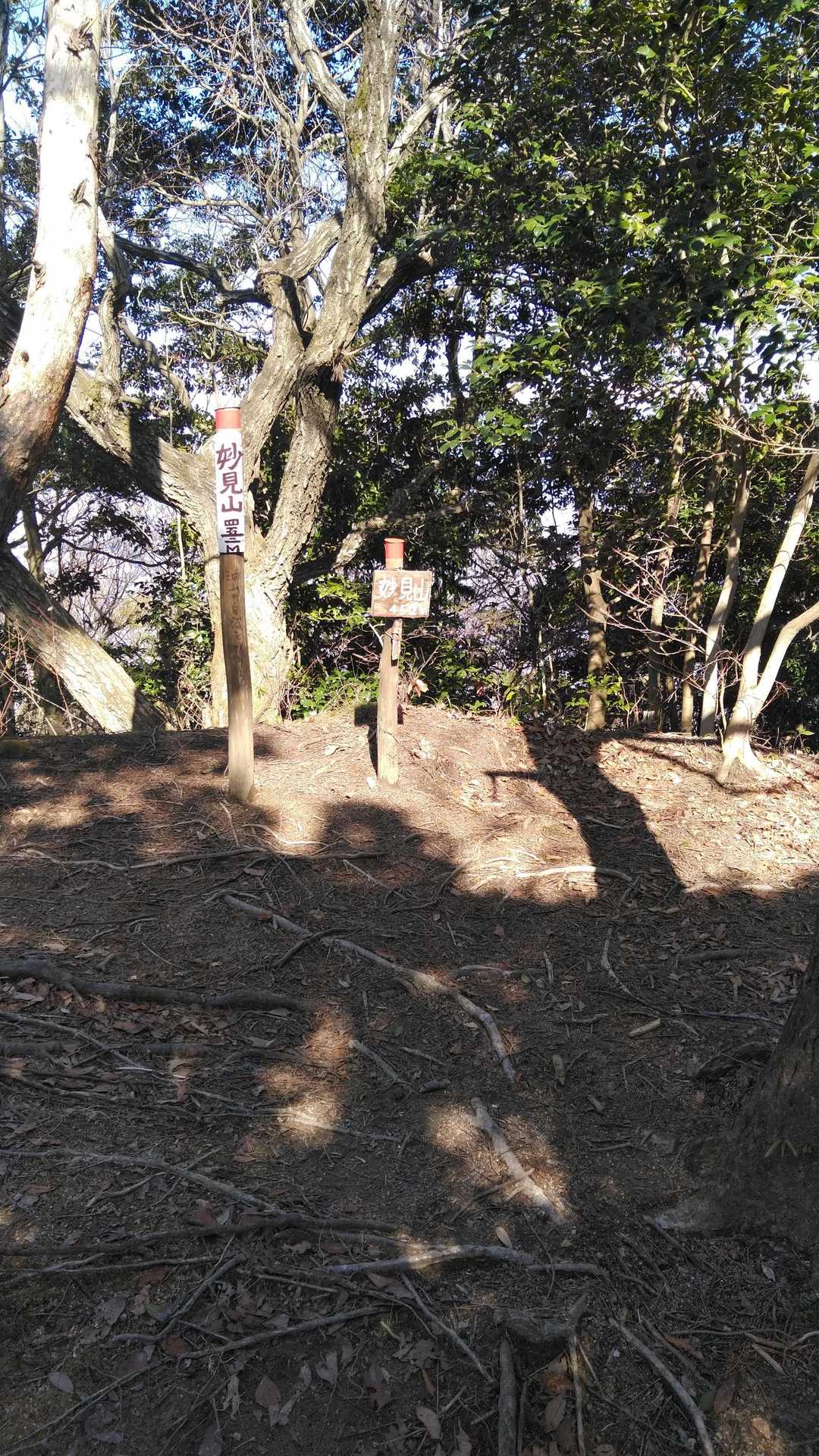 妙見山山頂！
今日はここまで、もっと早く登り始めていれば‥