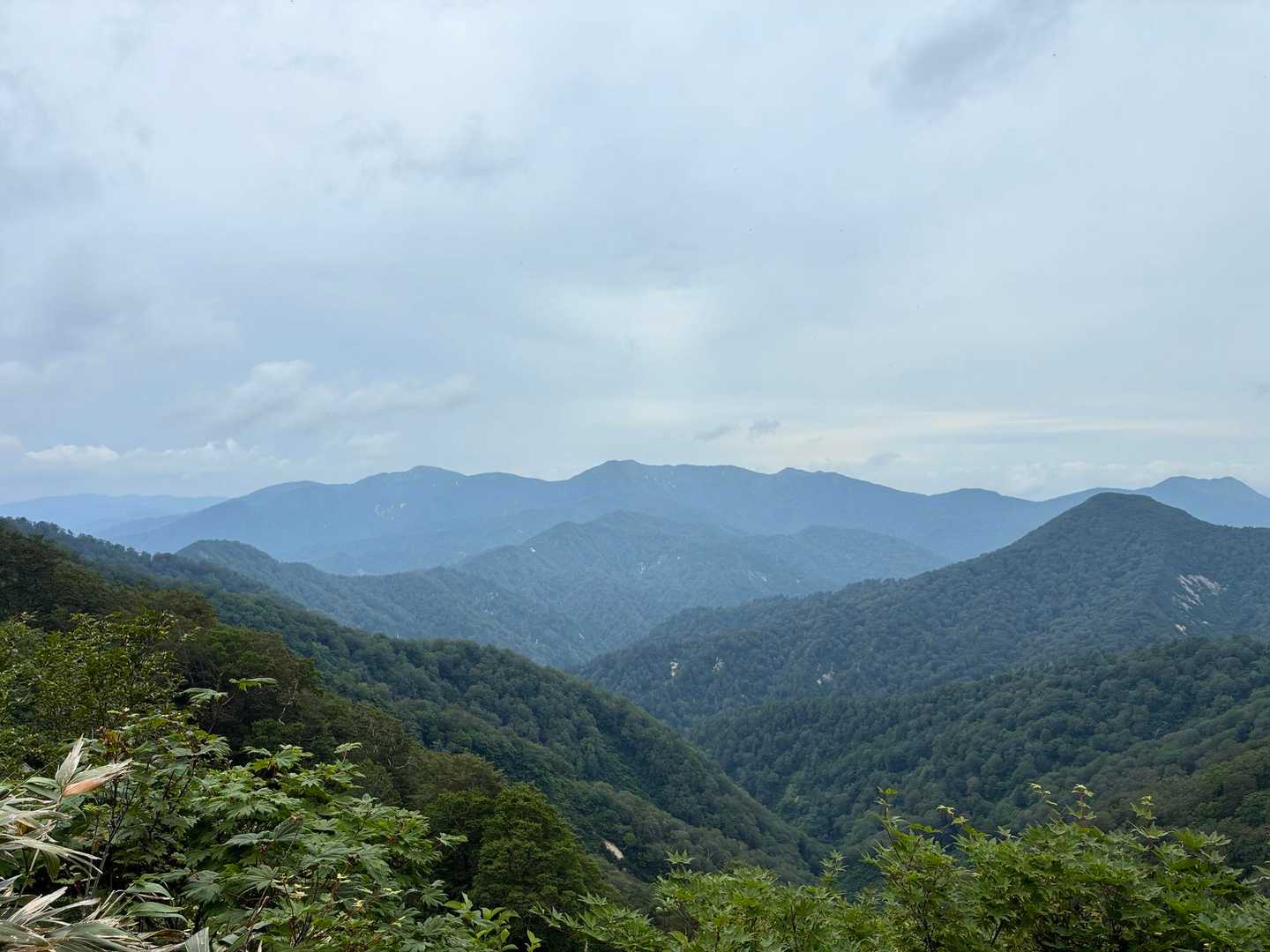 泥湯三山も見えました