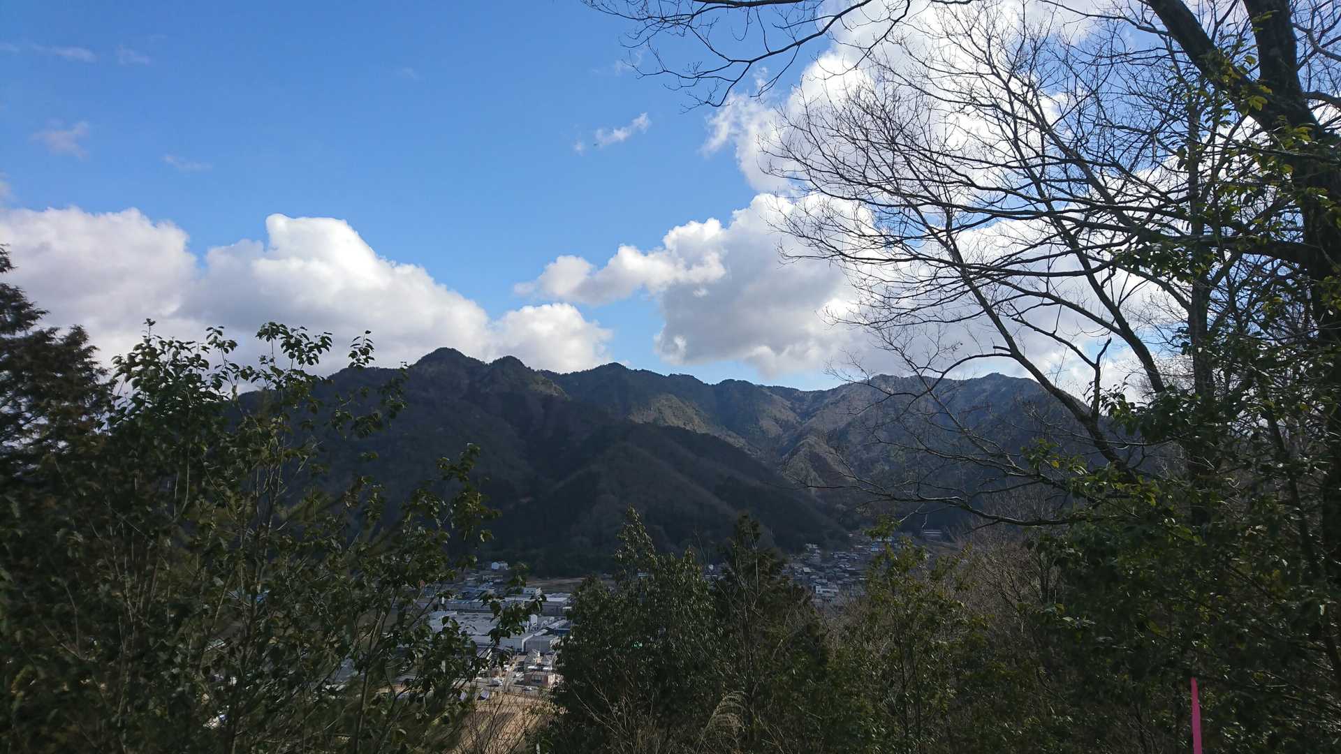 向山の山塊ヒカゲツツジが、綺麗な山です。😉