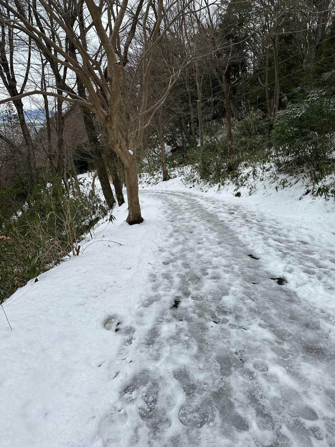 舗装路も滑る滑る