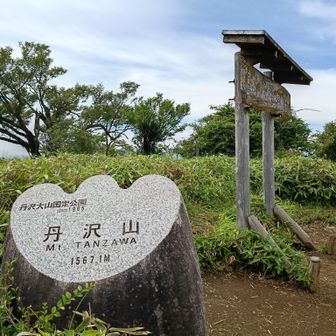 丹沢山到着～♪
ここまで来たら、人は多いけどちゃんと装備したハイカーだらけ

ここでピストンするハイカーが多いようです

30年以上神奈川県民していて丹沢の名前こそ耳にするも足を運ぶのは、実は今回が初めて😅