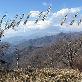 こんな感じでーす