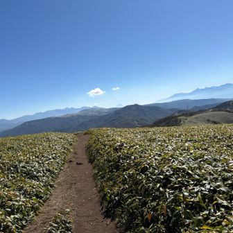 振り返ると、八ヶ岳、南アルプス
センターに富士山降臨