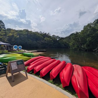 🚤遊泳だね〜