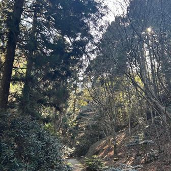 やっとロード終了