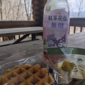 東屋でひと休み(⁠ ⁠ꈍ⁠ᴗ⁠ꈍ⁠)