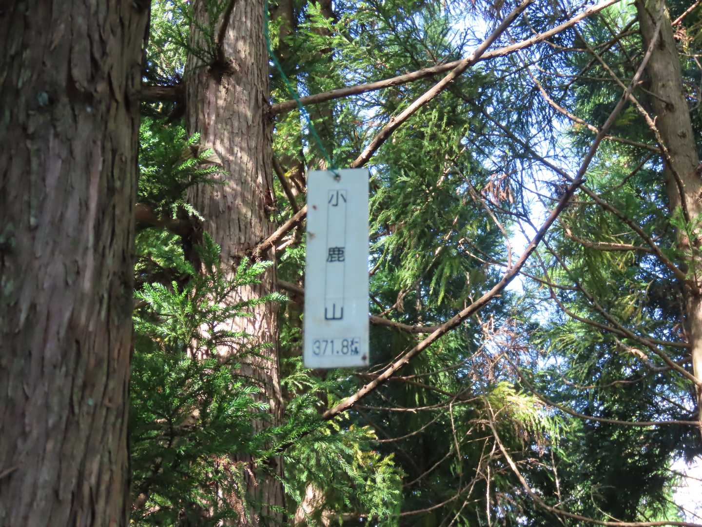 ちょっと高いところにあった👀