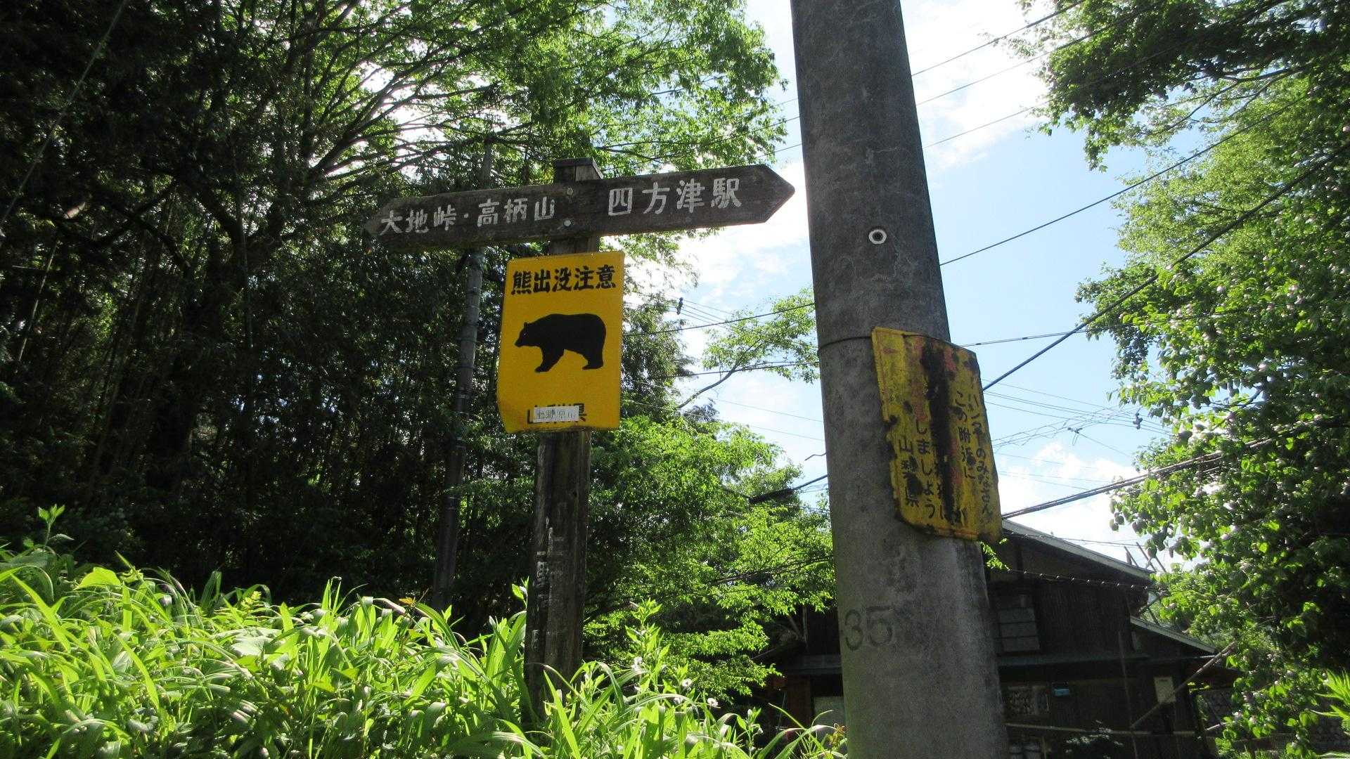 熊には会わず降りて来れました！
🐻