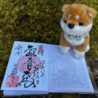 素晴らしい御朱印を頂きました🙏苔と相棒🎶