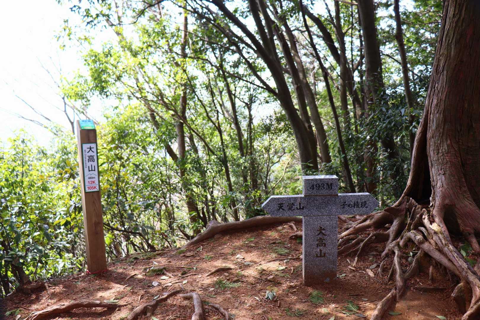 大高山に着きました。