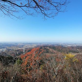 ここから日光ファミリーが見えるはずだけど...