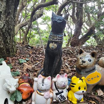 イヌがにゃーん🤣虎もいる🐯