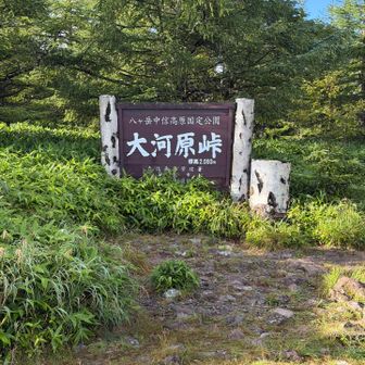 7時前には登山開始したかったから、ピッタリ